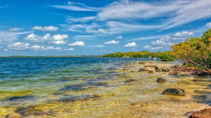 Visit Florida Keys one of the best pet friendly beaches 