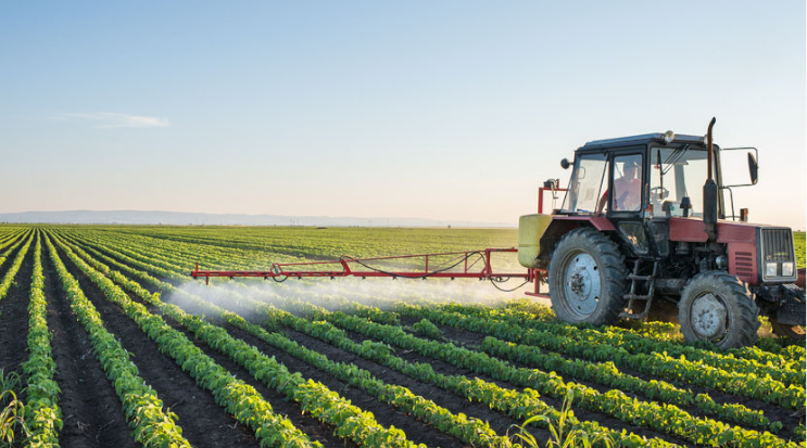 Avoiding chemical pesticides