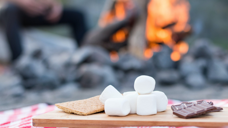 melhores alimentos para levar acampar se você tem um doce thooth