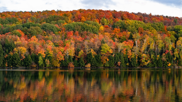 New England Vermont is the perfect place to go on a fall road trip.
