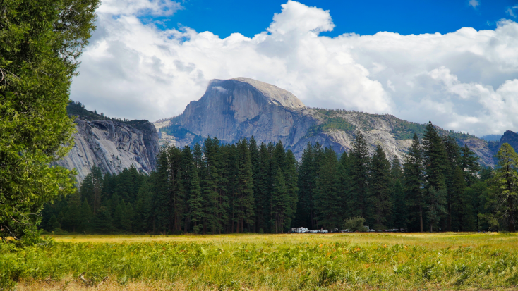 Best time to visit California wine country