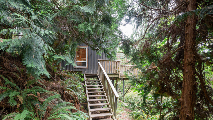 Spooky cabin in the woods of British Columbia