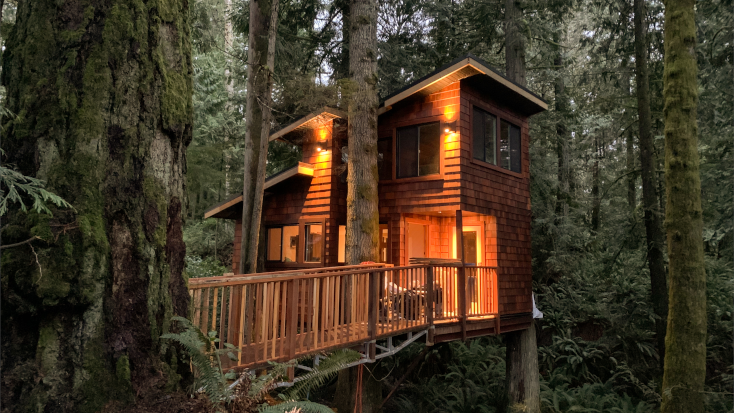 A cabin rental in the trees on Vancouver Island, British Columbia.