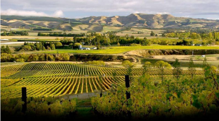 Waipara Wineries, South Island, Nova Zelândia.