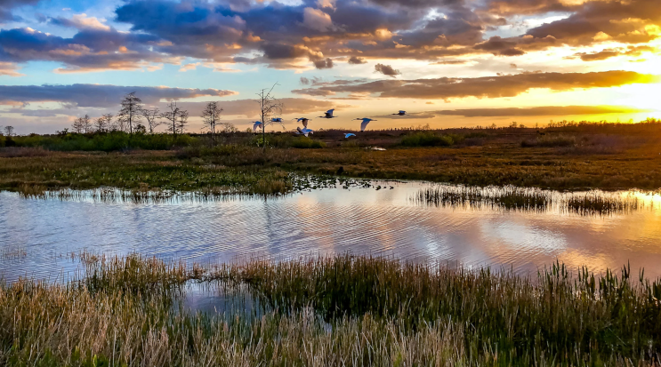 Everglades National Park, Florida