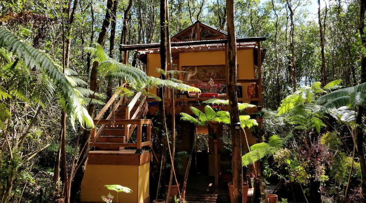 Off-The-Grid and Eco-Friendly Tree House in the Rainforest in Volcano, Hawaii