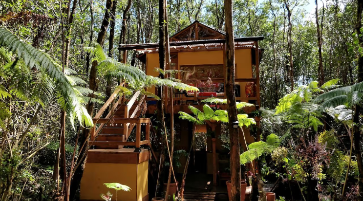 TREEHOUSE PILON PAVONES, Pavones – Preços atualizados 2023