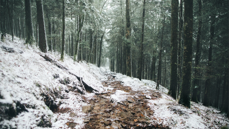 The Appalachian Trail can experience bad weather, so make sure to pack all the required gear