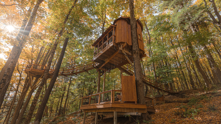 Enjoy the best wineries Upstate NY and stay in this fun tree house