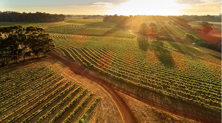 Western Australian Wine Region
