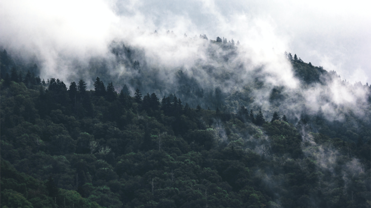 The Appalachian Trail, Great Smoky Mountain National Park