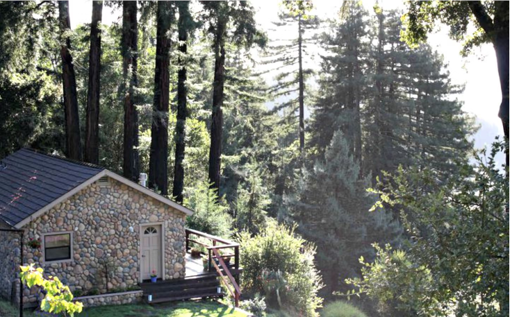 Romantic Cabin Tucked Away in Forest of Redwoods, California