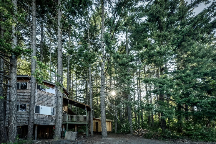 Tree House Style Cabin Nestled at the Foot of Scenic Snow-Capped Mt. Adams, Washington