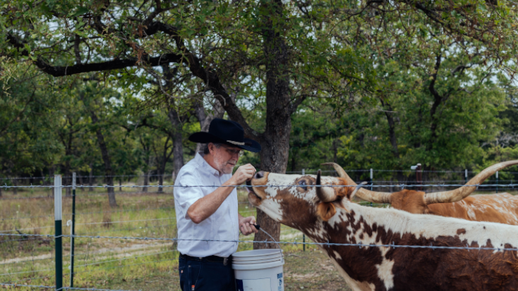 Graham, winner of Host of the Month for January 2022 feeding cows at his farmstay in Red Rock, Texas. 