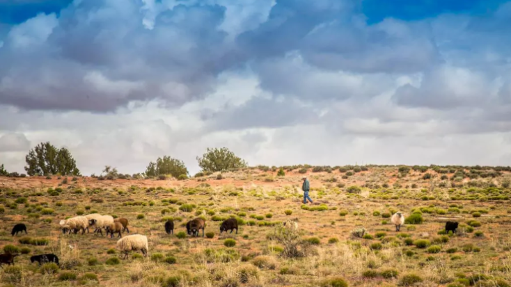 Navajo Sheep Ranch near the Grand Canyon, near Arizona - Location of Host of the Month for February 2022