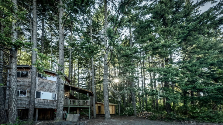 Tree House Style Cabin Nestled at the Foot of Scenic Snow-Capped Mt. Adams, Washington, Valentines Day gifts for her