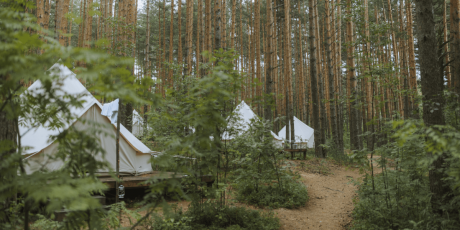 Guide to Financing a Glamping Business in the USA