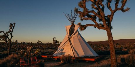 Camping vs Glamping: Which One is Really For You