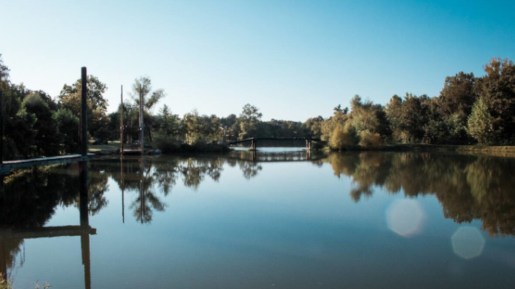 Beautiful lake at glamping resort in St Louis, Missouri. Winner of Glamping Hub's Host of the Month for June 2022. 