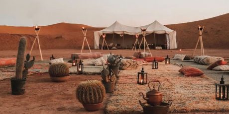 Types of Glamping Rentals And How They Affect Your Glamping Business Success