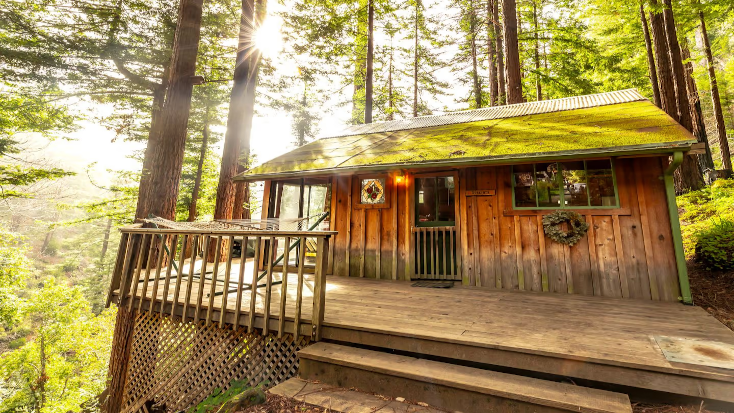 Inviting Cabins in the Trees Surrounded by Redwoods near Big Sur, California, one of the best west coast beaches