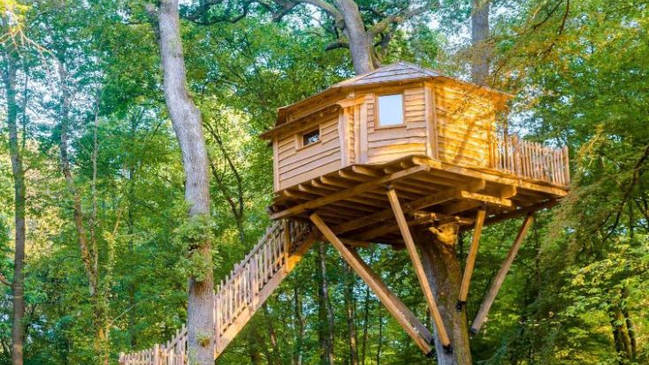 tree house jargon