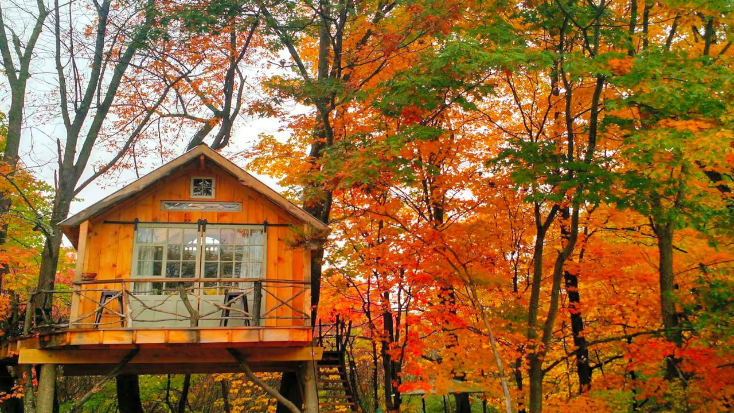 Secluded Tree House in the Canopies near Saratoga Springs, Upstate New York, Valentine's Day