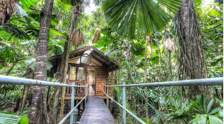 Eco-Friendly Daintree Accommodation in the Rainforest for a Romantic Getaway in Queensland