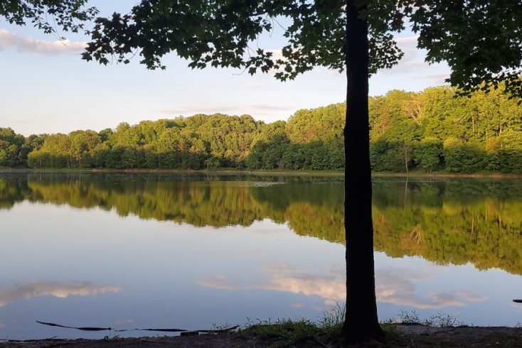 Lake view with tree and forest in Maryland USA