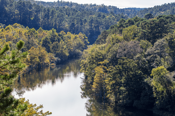 River view and surrounding forest, Oklahoma