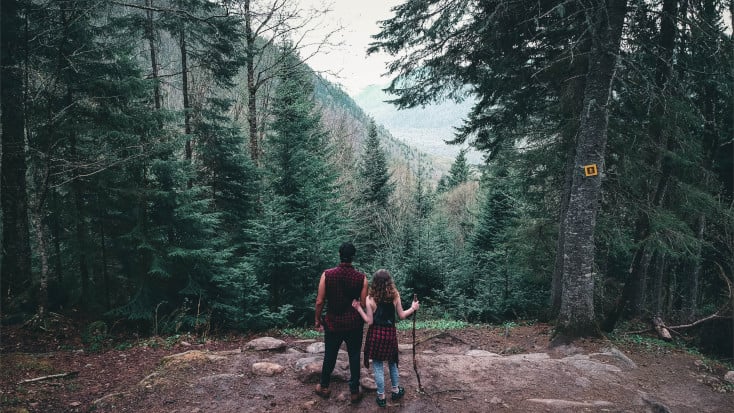 Couple hiking surrounded by pine forest