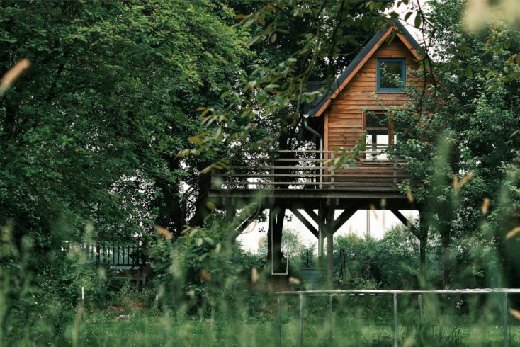 Elevated tree house surrounded by trees with trampoline