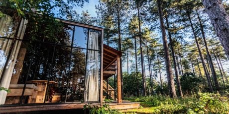 Glass cabin surrounded by forest views in West Virg8inia