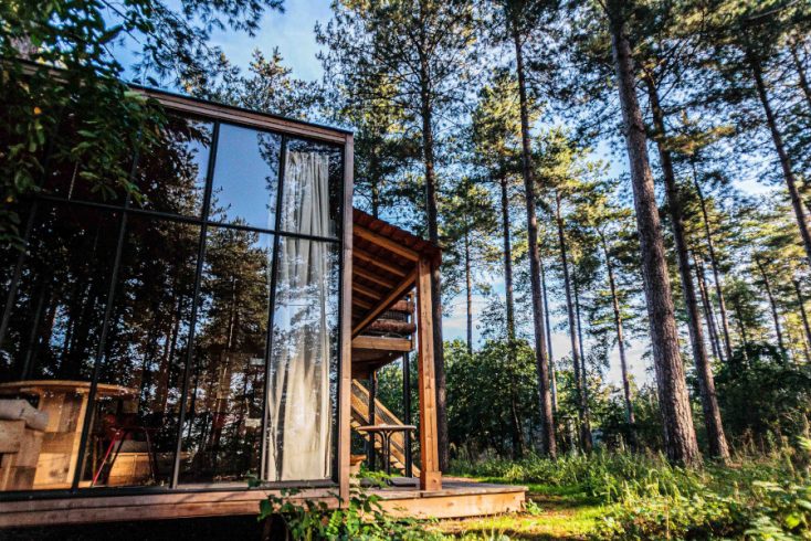 Glass cabin surrounded by forest views in West Virg8inia